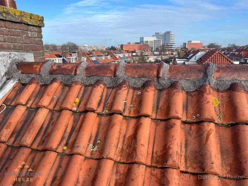 Heeze Daken Renoveren