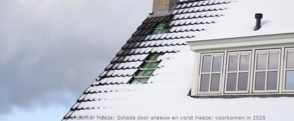 Schade Door Sneeuw En Vorst Heeze